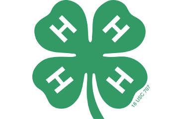 4H Clover